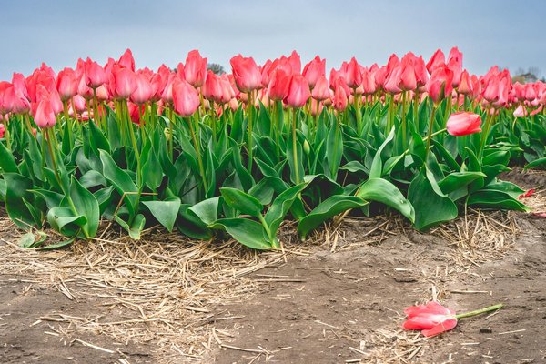 Astuces Incontournables pour Estimer la Valeur de Votre Propriété