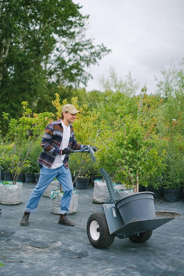 Paysagiste à robion : créez un jardin unique et durable